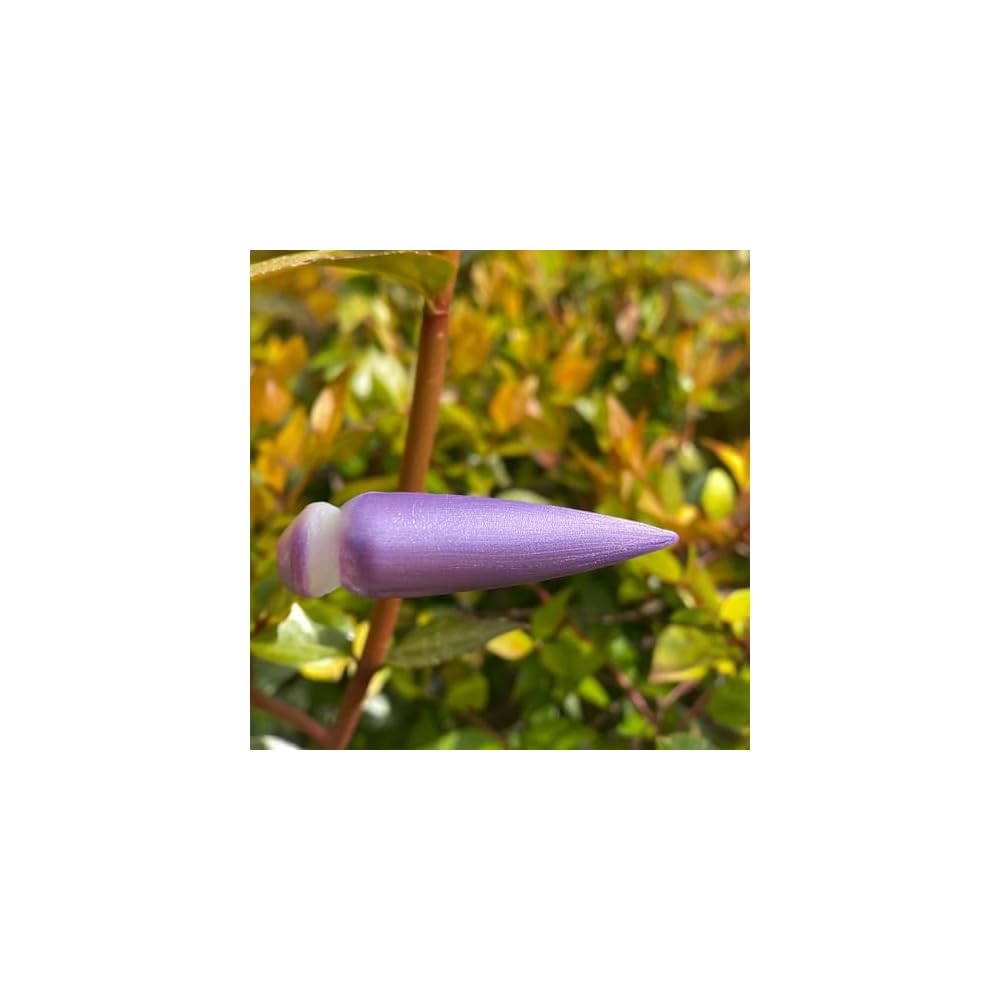 Wysteria Nail Lacquer, 15 ml, Lavender Shade