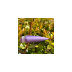 Wysteria Nail Lacquer, 15 ml, Lavender Shade